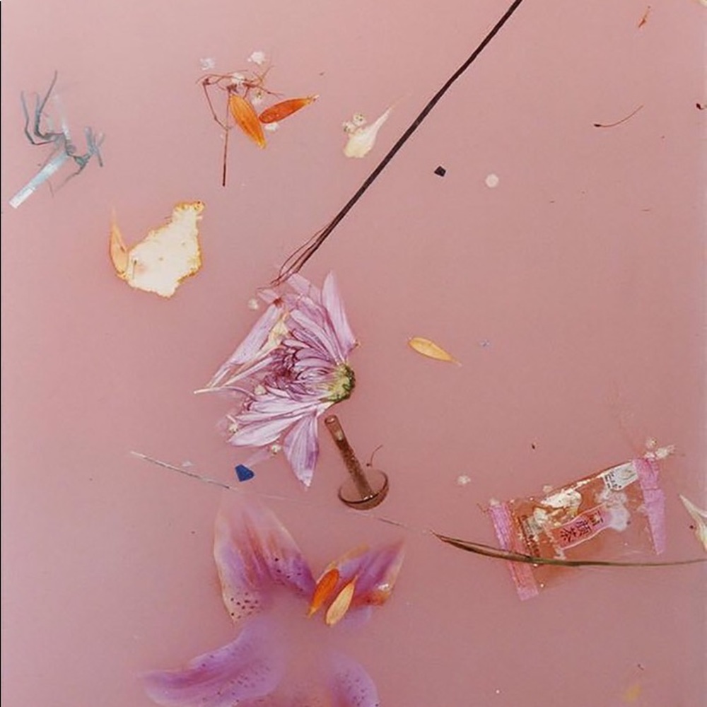 Meet your Posher, Zoe